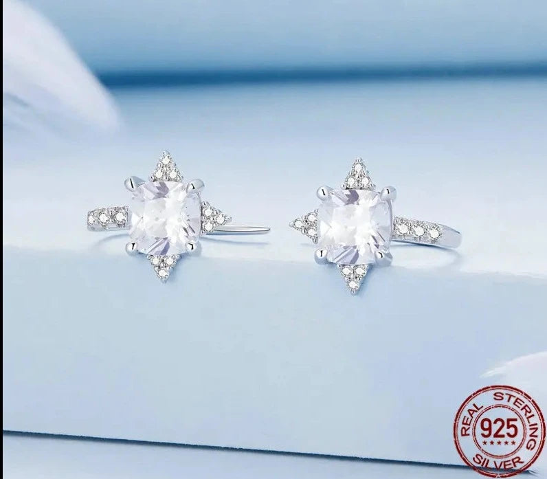 LUX Shiny Clear Square Zircon Ear Hooks Original Design Earrings