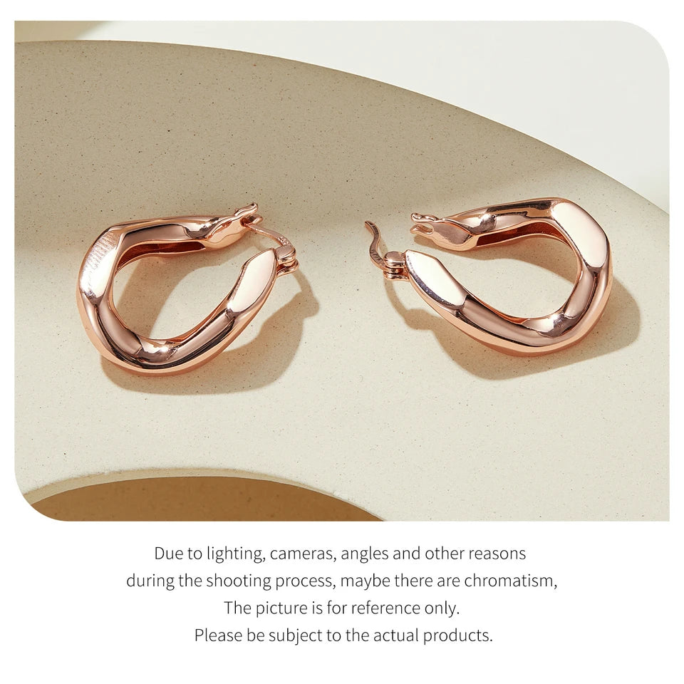 LUX Twisted Hoop Earrings Ins Style Ear Buckles for Women